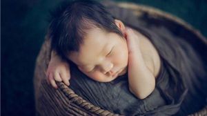 女性备孕期间胆碱肌醇对卵子的作用是什么？