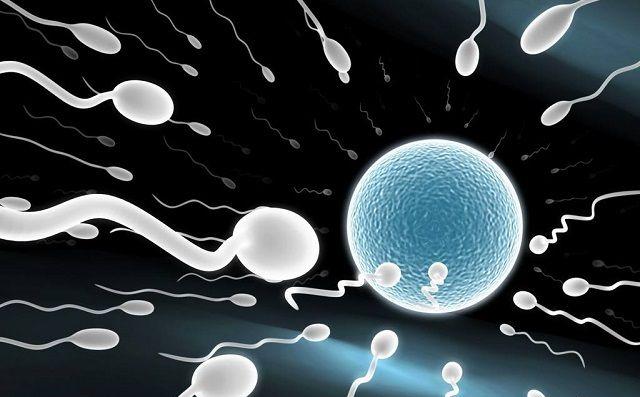 优质精子的6大标准，精子质量达标实现好孕梦