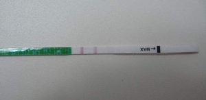 3分钟读懂排卵试纸的五个正确使用方法及注意事项