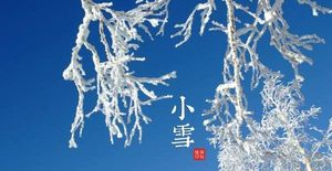 小雪低调上线！赴美试管生“鼠宝宝”的黄金时间正慢慢流逝