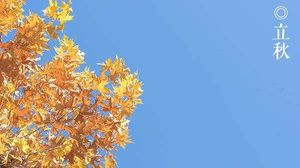 立秋是备孕的“黄金期”？想“造人”成功还得选对日子