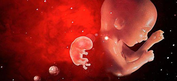 医生给孕妇做四维彩超后说胎儿懒在暗示什么？