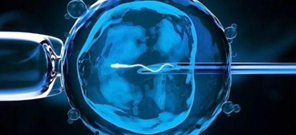 鲜胚移植最晚多少天后能做B超查出孕囊？