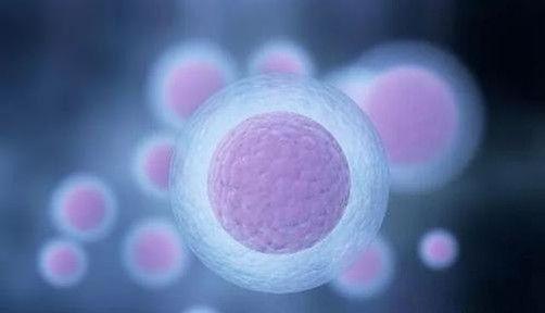 卵泡不破导致不孕可做B超监测及促排卵治疗