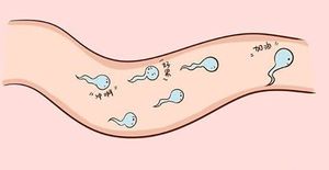 精子畸形98能恢复到让女性自然怀孕的水平吗?