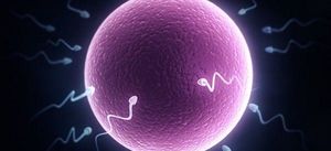男性精子浓度低于多少不育风险增高?