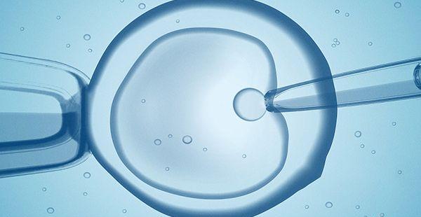 卵子质量不好受孕困难，做三代试管还有希望吗？
