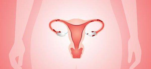 氯米芬和来曲唑在促排卵过程中有什么区别？