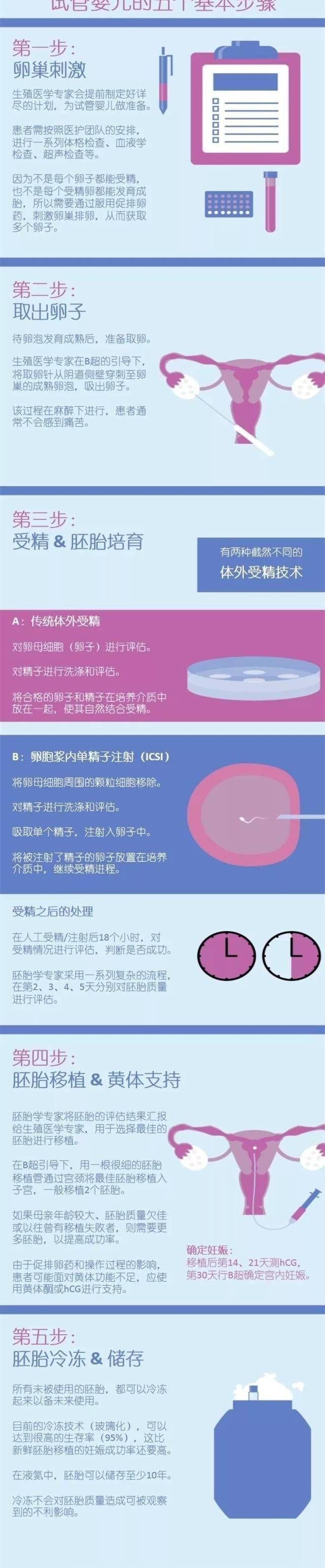 一图读懂试管婴儿全过程，解读从取卵到移植6步骤