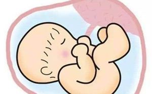 为何自己的胎盘直系三代的亲人不能吃?