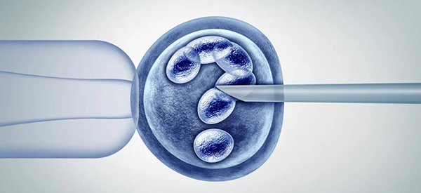 做二代试管医生知道囊胚性别是男还是女吗？