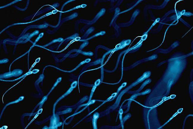 精子DNA碎片率高可以做第二代试管婴儿吗？