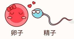 少精症患者可以试管婴儿?医生:做第二代能助“好孕”