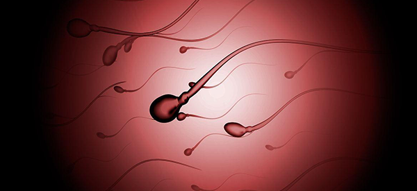 男方精子有问题，活率低可以做几代试管？