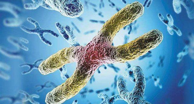 8号染色体异常会怎样？或导致这5种罕见疾病！