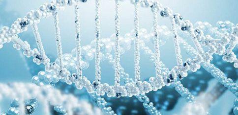 PGD解析：新泽西生殖医学中心遗传基因筛选技术