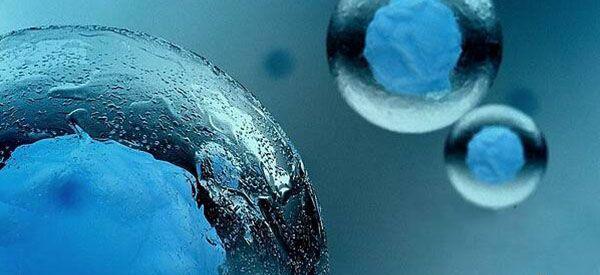 试管中第三天的冻胚和第五天的囊胚有什么区别？