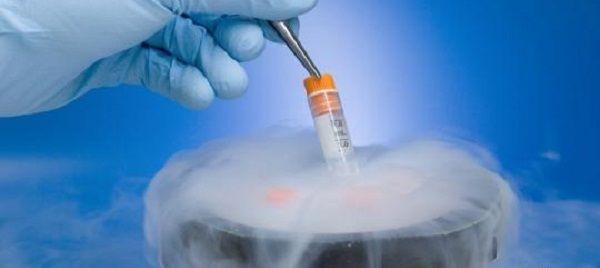 第一次试管失败，解冻之前的胚胎加移植多少钱？