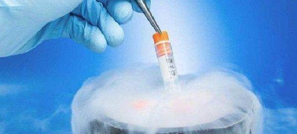 数十年没人认领且不续费的冻胚医院会怎么处理？
