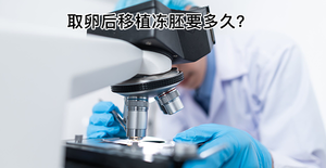 取卵后冻胚移植的最佳时间,6类人群各不相同
