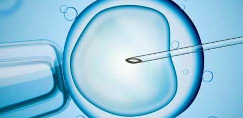 国内试管婴儿“冻胚移植”趋向成熟得到国际认可