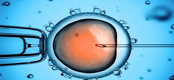 试管短方案取卵后多久移植胚胎比较合适？
