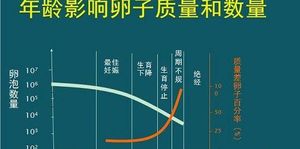 科普:俄罗斯试管婴儿与年龄关系 35岁后成功率直线下降