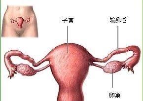 双侧输卵管梗阻，5年3促7移，试管婴儿终好孕