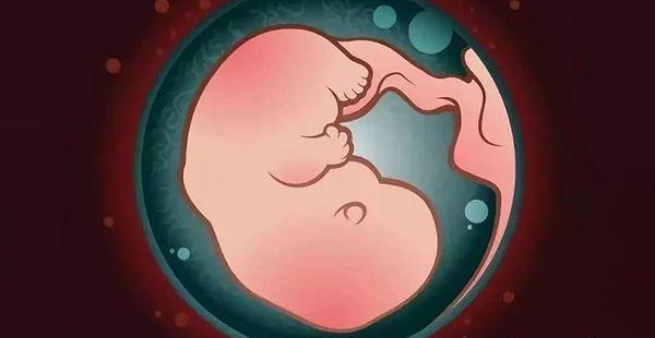 中国首例供胚试管罗优群，正常生育孩子不是梦