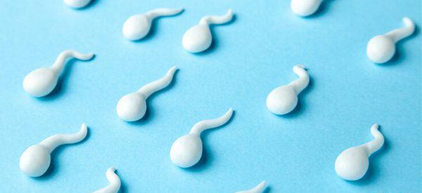 供精试管申请的精子库精子质量好吗？