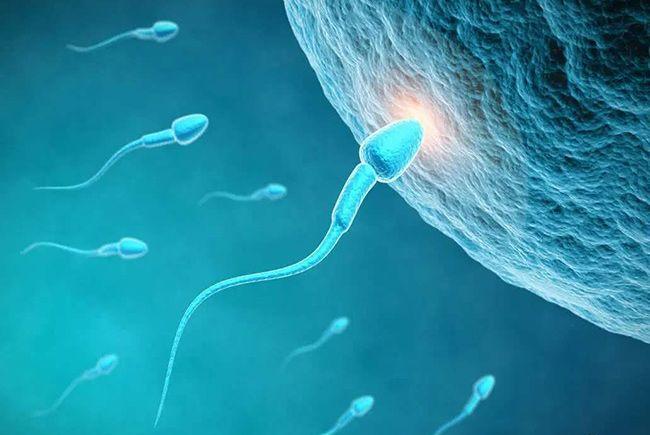 精子库的精子怎么选择，选外貌好看的可以吗?