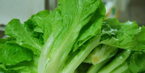 如何预防红细胞偏高,在饮食方面绿色蔬菜是不错的选择