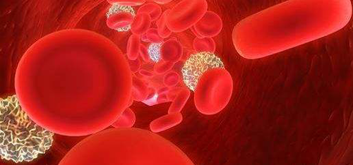 肾脏滤出过多红细胞,据尿常规偏高原因进行3种治疗