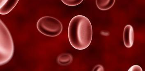 离心作用于红细胞压积,正常值范围诊断方法为2种