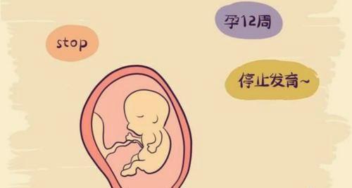 胎停前宝宝的求救信号有哪些？