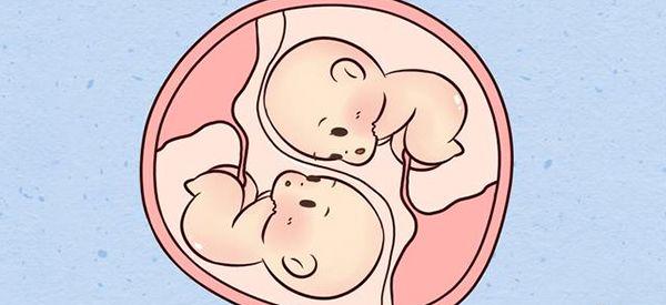 孕中期梦见鸭子怀双胞胎会比较灵验吗？