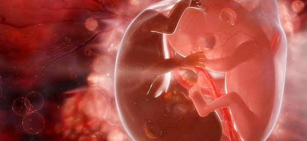 什么样的女性在哪种情况下容易怀单卵双胎？