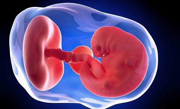 4大因素可致孕期出现空孕囊，早期务必做好预防措施