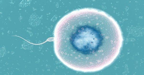 精子未成熟活力低影响运动，怀孕生宝宝成空谈