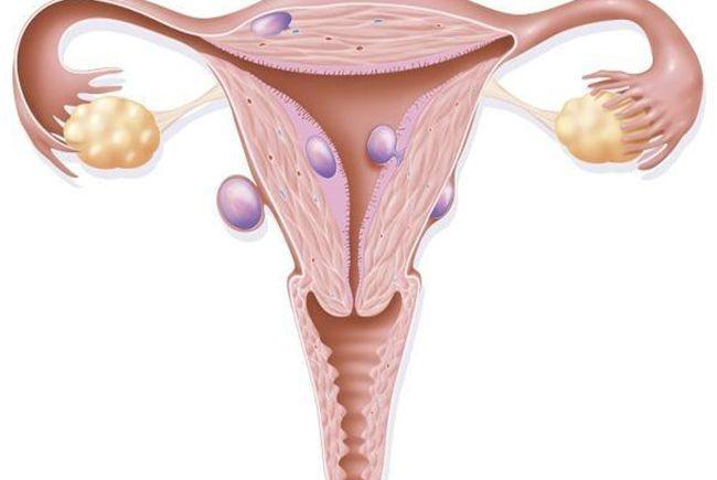 子宫切除一半后的女性有排卵迹象，请问还能怀孕吗？