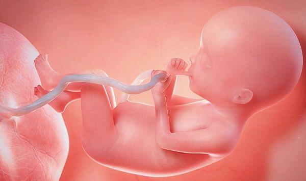 详解胎盘成熟度是什么，对胎儿有2点影响