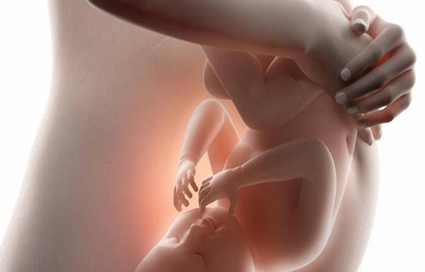 胎儿窘迫胎心型十分危险，胎心率过高或过低都不正常
