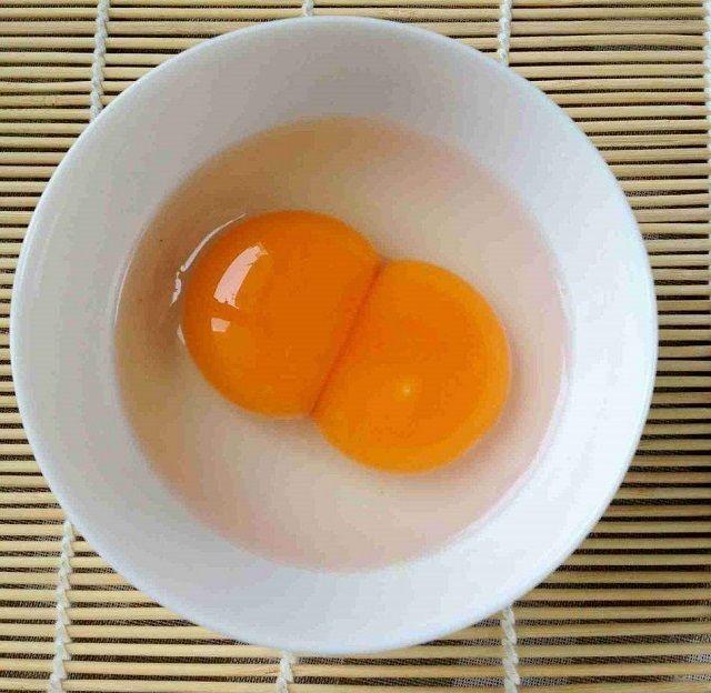 试管婴儿双胞胎新观点，见过“双黄”鸡蛋孵出小鸡吗？