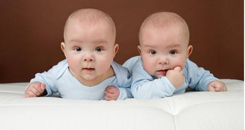 同卵双胞胎
