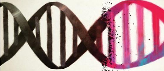 DNA精子碎片率高和畸形精子92％，胎停原因找到了