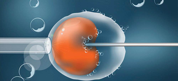 男性精子正常形态为0还能通过试管婴儿受精吗？