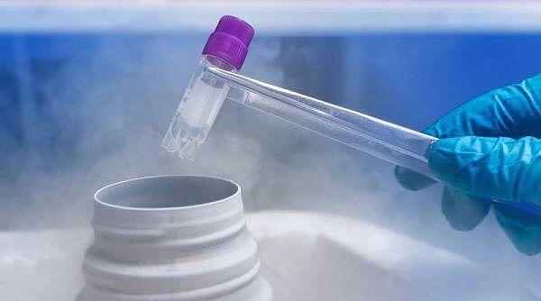 冷冻精子在医院一般能够存放几年？