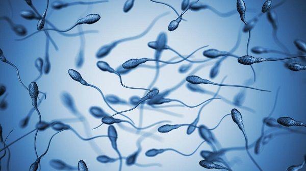 检验生殖力金标准：活动精子总数越低越难育