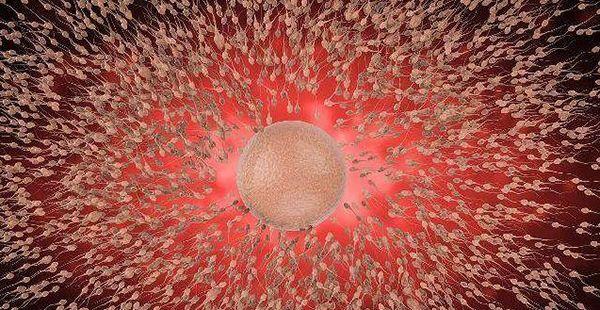 试管胚胎合成时可能出现多精入卵，该怎么防止？