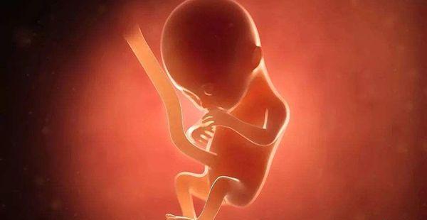 胎儿畸形与AB级精子数量有直接关系吗？
